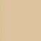 Camel Swatch