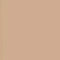 Caramel Swatch